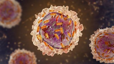 Science history: Female chemist initially barred from research helps develop drug for remarkable-but-short-lived recovery in children with leukemia — Dec. 6, 1954