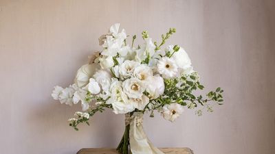 As a Floral Designer, I Know Exactly How I’ll Be Styling Pantone’s Color of the Year 2026 in my Home – These 7 Ethereal Cut Flowers Capture the Cloud Dancer Mood Perfectly