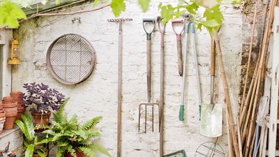 7 Essential Garden Tools to Service in December, Plus the Key Maintenance Tips You Need to Know