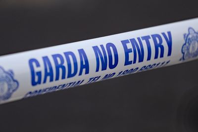 Woman and young boy die in Co Offaly house fire