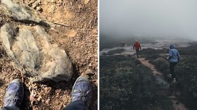 ‘Normalize being rude’: Maryland woman goes hiking on Billy Goat Trail—then a man on the trail asks her a disturbing question