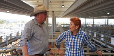 Barnaby Joyce joins One Nation to run as NSW Senate candidate in 2028