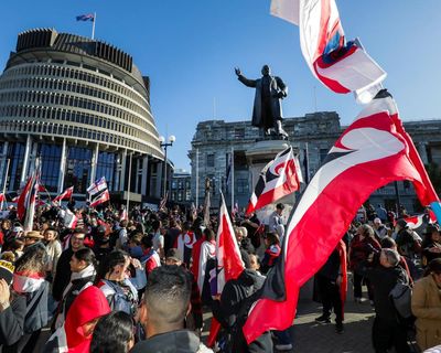 UN report sounds alarm over Māori rights in New Zealand