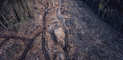 Australia has new laws to protect nature. Do they signal an end to native forest logging?