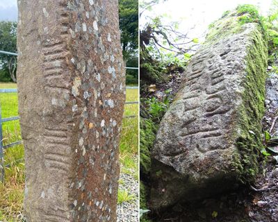 Linguists start compiling first ever complete dictionary of ancient Celtic