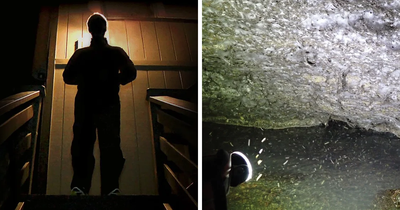 55 People Recall The Most Traumatizing Moments They’ve Ever Lived Through