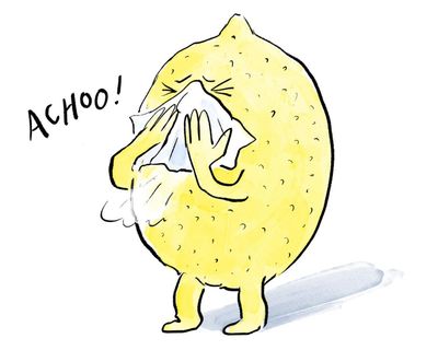 Is it true that… you should take vitamin C when you’ve got a cold?