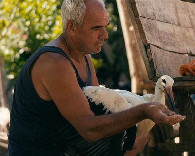 The Tale of Silyan review – farmer adopts stork in delightfully cockle-warming mud-caked folk tale