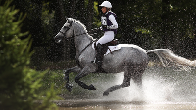 A horse treat company just issued a warning that they aren’t intended for humans, so could everybody please stop eating them