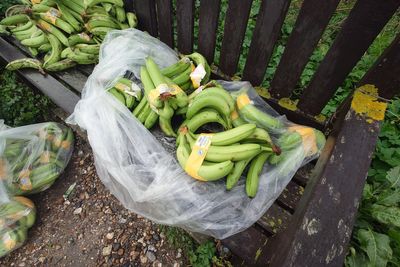 Bizarre moment bananas wash up on UK beach