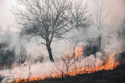 Social Media Content Creator Documents Australia's Bushfire While on a Floating Picnic Table — Shares Update on the Blaze