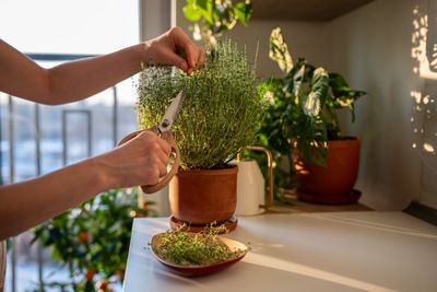 9 Budget-Friendly Winter Garden Projects You Can Finish Before Spring