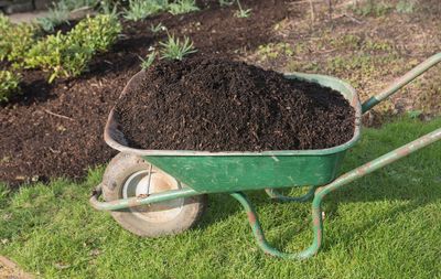 Why Mulching in December Can Save Your Spring Garden