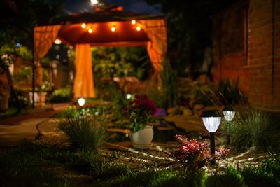 12 Garden Lighting Ideas to Make Your Yard Shine Over the Holidays
