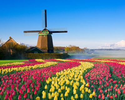 Did you solve it? The forgotten Dutch invention that created the modern world