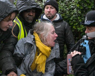 Cornish activist injured as police remove her from tree-felling protest