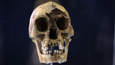 The 'hobbits' may have died out when drought forced them to compete with modern humans, new research suggests