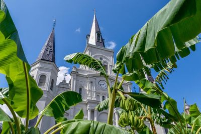 New Orleans Catholic clergy abuse survivors in line to collectively be paid $305m
