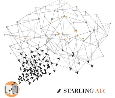 Starling AIX Launches Product Suite Designed to Turn Company Knowledge Into an Organizational Brain With Zero-Code