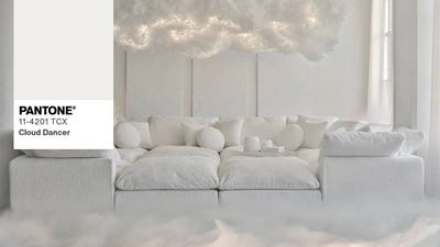 Pantone’s 2026 Colour of the Year is underwhelming, but these appliances can incorporate it in your kitchen