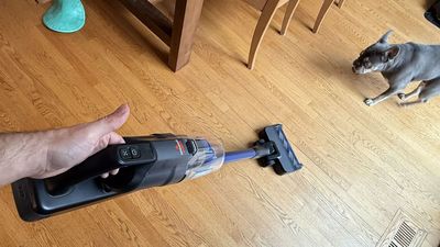 This pet hair-friendly cordless vacuum is one of the best budget options I've tested