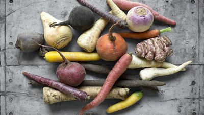 I Grew and Harvested Root Vegetables Year-Round for Michelin-Starred Chefs – I Urge You to Do These 3 Things in Winter to Guarantee Yours Are Perfect