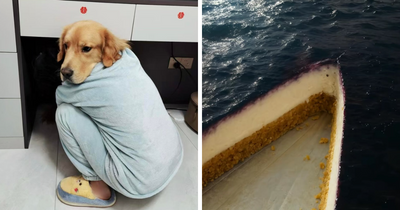 50 Photos That Trick Your Eyes So Well You Might Need A Second Or Third Look To Get Them