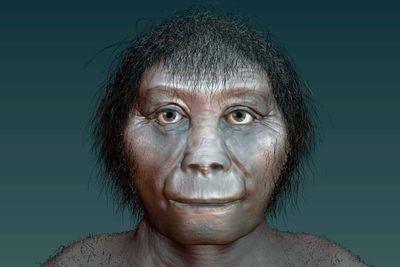 Modern humans unfairly blamed for extinction of Indonesia’s ‘hobbits’, scientists say