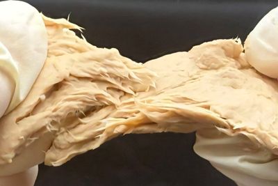 Lab-grown fungus ‘meat’ could be cheaper chicken substitute, scientists say