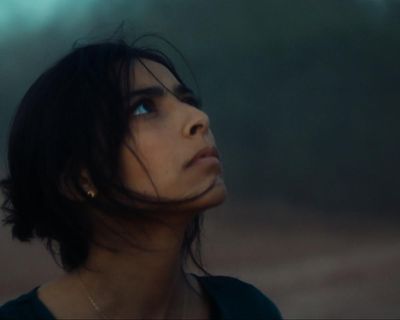 Animalia review – megaflood strikes in haunting, eerie debut about liberation and the unknown