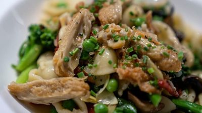 Viral posts mislead on Italy's 'lab-grown meat' ban