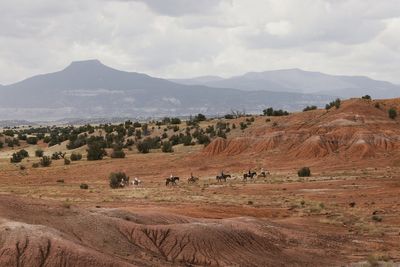 Breathtaking desert that inspired Georgia O’Keeffe is now protected