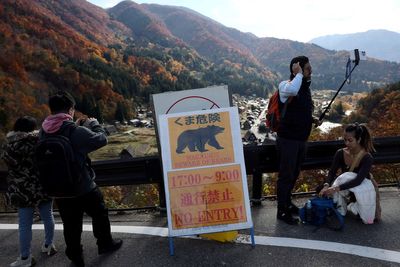 Japan warns public to expect big spike in bear attacks – in 2027
