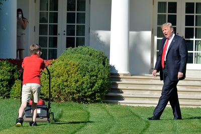 Newsom uses infamous Trump lawnmower pic to make fun of president over his comments about machinery