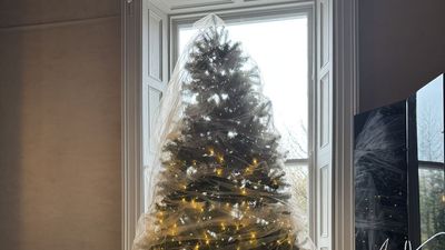 Meet the Veiled Tree — This Interior Designer's Romantic Christmas Tree Is the 'Anti-Trend' to Over-the-Top, Maximalist Festive Schemes