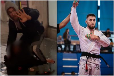 Vigilante black belt takes down 'sex attacker' in London street weeks after tackling Tube pickpocket suspect