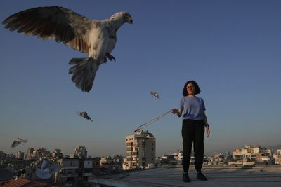 Photos of a Beirut woman's rooftop sanctuary for pigeons