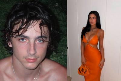 Timothée Chalamet, Kylie Jenner Shut Down Split Rumours But Actor's Silence Left Reality Star 'Raging, Shocked And Heartbroken'