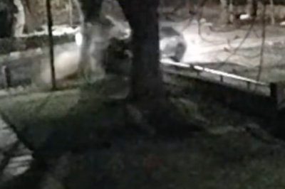 Moment drink driver ploughs into wall with children inside car