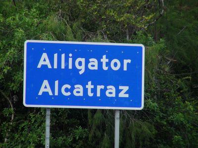 Florida's 'Alligator Alcatraz' Revealed Torture, Enforced Disappearances of Immigrants