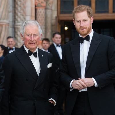 King Charles Could Offer a Significant Olive Branch to Prince Harry this Christmas