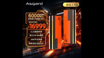 Chinese vendor unveils 256GB of RAM that costs more than an MSRP RTX 5090 — Asgard's DDR5-6000 retails at an eye-watering $2,400, but is more affordable than some mainstream alternatives