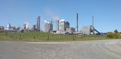 Through the mill: Tokoroa’s tough year was about much more than job losses