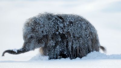 This new Apple TV show has the best visual effects I’ve ever seen — you have to watch it