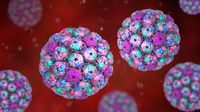 Widespread cold virus you've never heard of may play key role in bladder cancer