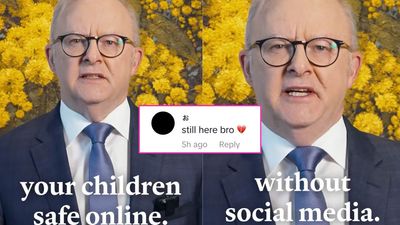 Teens Are Spamming Albo’s TikTok To Prove Social Media Ban Isn’t Working: ‘Still Here’