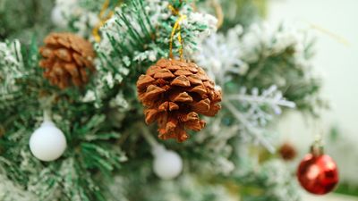 Christmas tree drying out? Here's 3 ways to keep it watered