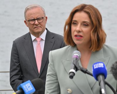 Afternoon Update: ‘proud’ PM hails social media ban; Trump fact-checked; and an uninvited bear