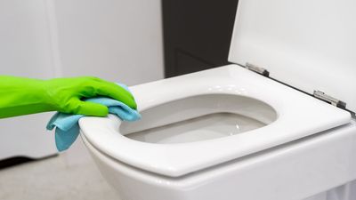 This is the gross toilet spot you're probably forgetting to clean — and you’ll be surprised