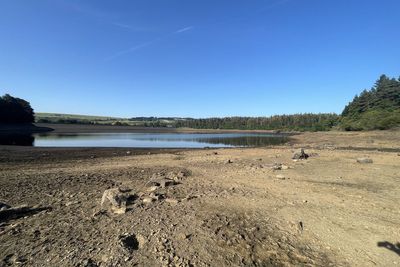 Water provider lifts hosepipe ban early following wet November